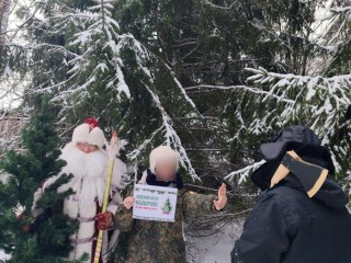 Патруль с листовками: школьные лесничества Можайского округа вступились за хвойный молодняк