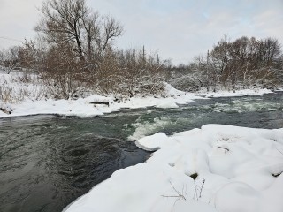 Какая погода ждет жителей Подмосковья на исходе новогодних выходных
