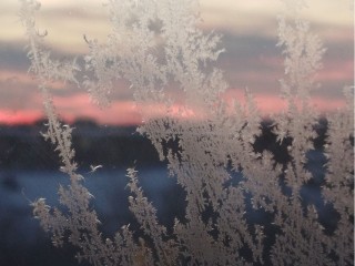 Сильнейшие морозы зимы-2026 надвигаются на Подмосковье: скоро похолодает до -30℃