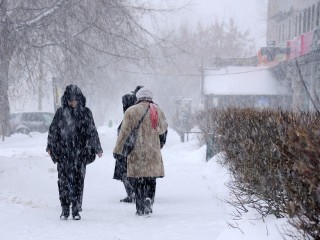 Подмосковье накроет снежный буран до 9 января