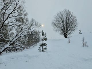 Мороз и месяц – ночь чудесна: крещенские купания пройдут в Подмосковье при морозах