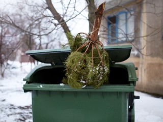 Как экологично утилизировать елку в Лобне и не получить штраф