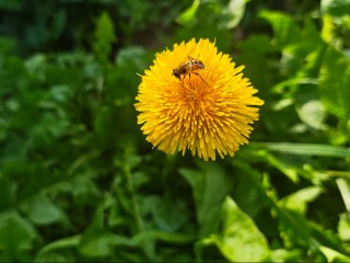 Лето-2026 в Подмосковье продлится четыре месяца: правда или нет — ответил Вильфанд