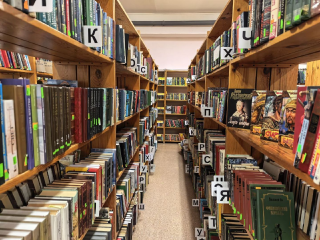 «Сила слова»: в Красногорске стартовал лингвистический марафон к 200-летию М.Е Салтыкова-Щедрина