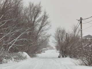 Жителей Подмосковья ожидает морозная неделя