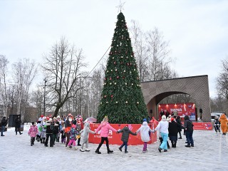 Парад Дедов Морозов, фигурное катание и хоккей на катке: парки Ступина приглашают на рождественские гуляния, спектакли и спортивные тренировки с 5 по 11 января