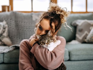 Все кошки одинаково полезны? Как понять, что усатый питомец может исцелять