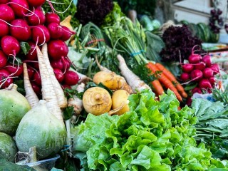 В Школе здоровья рассказали, как питание и движение укрепляют сосуды