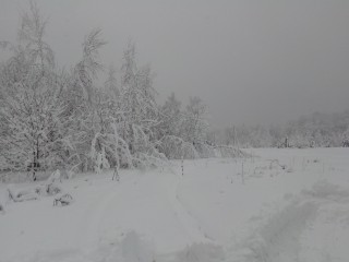 Стало известно, ударят ли в Рузе крещенские морозы