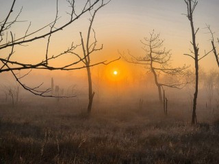 Гороскоп на 16 января 2026: магия полуслова и тайные покровители — какой знак зодиака сегодня получит послание от самой Судьбы