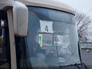 Автобусы до озера Сенеж будут ходить всю ночь на Крещение: подробное расписание