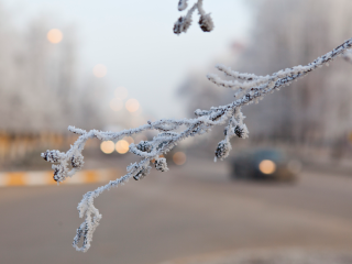Холода до –30°C продлятся в Реутове несколько дней