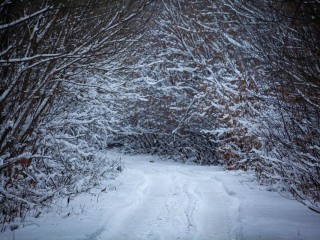 Какой будет весна в 2026 году — подскажет погода на Татьянин день 25 января