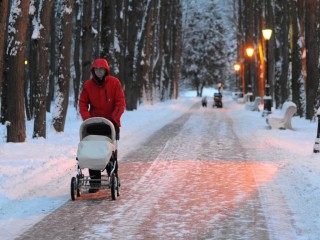 Первая двойня — январская: в Красногорске с начала года родилось 64 ребенка
