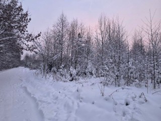 Сугробы в январе продолжат расти! Москву и Подмосковье завалит снегом