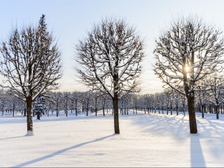 Участок в деревне Высоково: отличная точка для бизнеса в окружении жилой застройки Истры