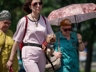 Что берут в отпуск вместо аптечки? Гаджет для выживания в 40-градусную жару