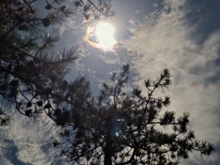 Мистические запреты Гордеева дня, которые лучше не нарушать: как один неверный шаг 16 января может навлечь беду на весь дом