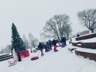 На малом эко-фесте в Бронницах смастерят кормушки для птиц