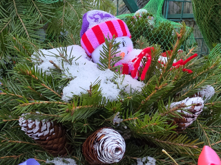 Культурная программа на 11 января: что и где посетить с детьми в Красногорске