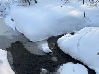 Тайну затопленных участков раскрыли: в поселке Ржавки найден источник загрязнения, владельцу вынесено официальное предостережение