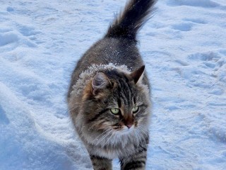 В Подмосковье скоро потеплеет, но ненадолго