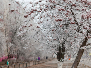 Теплое Крещение и ледяная пятница: какая погода ждет Подмосковье в конце января 2026 года