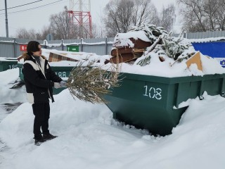 В Серпухове новогодние елки принимают на двух площадках «Мегабака»