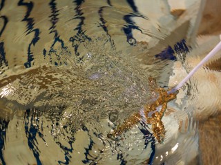 Сколько хранится крещенская вода и как ее правильно использовать