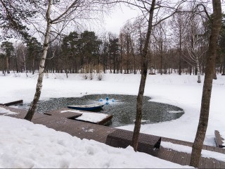 Март принесет в Подмосковье аномальное тепло: Марина Макарова — о том, какой будет весна в 2026 году