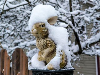 От сухой зимы к снежной: синоптики прогнозируют перемены погоды