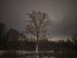 Морозы до -20° в Подмосковье: азиатский антициклон принесет солнечную и холодную погоду