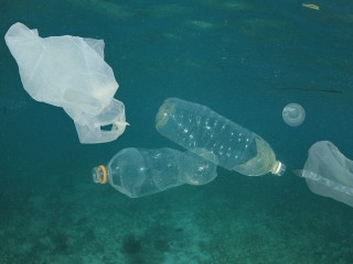 Специалисты из Долгопрудного обучили нейросеть находить мусор в морях Арктики