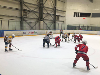 «Авангард» из Электростали начал хоккейный 2026 год с крупной победы