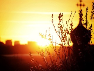 Зиме осталось недолго: названа точная минута, когда астрономически наступит весна