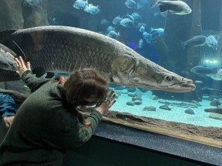 Каникулы с доступной культурой: какие московские достопримечательности увидели дети с ОВЗ из Щелкова