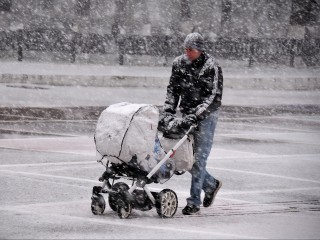 Погода вышла из-под контроля: неужели разрушительные аномалии в Подмосковье станут обычным делом