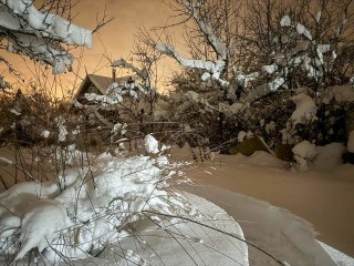 Морозы до -28°: синоптик Леус назвал самый холодный день января в Подмосковье