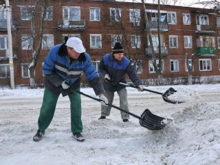 Общими силами: активные жители Химок встали в один ряд с коммунальными службами