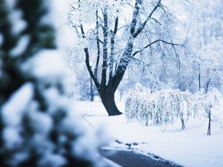 В Лыткарине объявлено штормовое предупреждение из-за снега