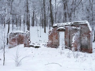 Своя «Чайка» с видом на руины: под Ступином продают бывший пионерлагерь