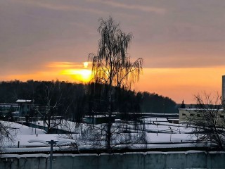 Какая погода будет в Подмосковье в феврале: синоптики уже знают