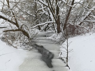 В Подмосковье похолодает еще сильнее: синоптики анонсировали приход аномальных морозов