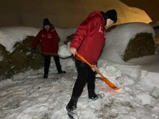 Волонтерская рота приехала на помощь хозяйке конюшни в Алексино‑Туголесе