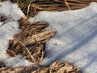 Крепкие морозы, а после — резко весна: публикуем прогноз погоды на конец февраля и начало марта от ведущих метеорологов
