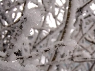 Начнется с ночи 2 января и будет идти 48 часов: к чему готовиться в Подмосковье