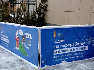 Прощай, елка: куда сдать новогодние деревья на переработку в Солнечногорске