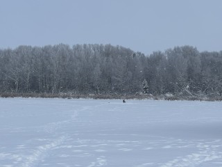 Погода в Солнечногорске 16 января: без осадков и облачно