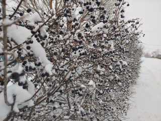 Самый мощный циклон задержится в Подмосковье до этой даты