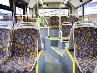 Одежда для зеленого пассажира: как правильно упаковать елку для провоза на утилизацию и сколько придется заплатить